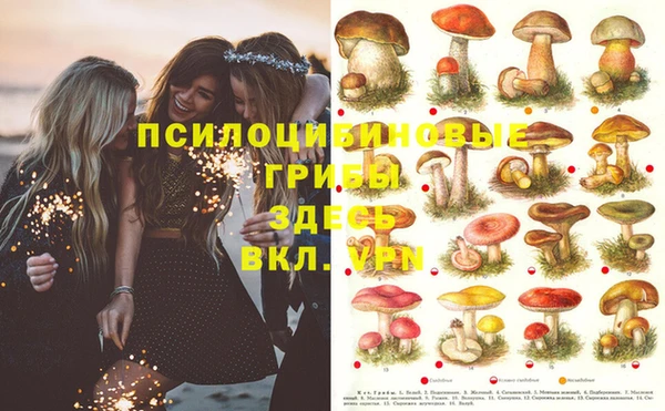MESCALINE Алексин